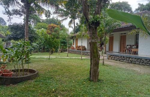 Devikolam House | Farm Shed Munnar Adimali