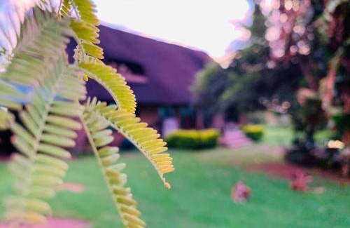Madibeng Bed & Breakfast | Farm Vibes Guesthouse