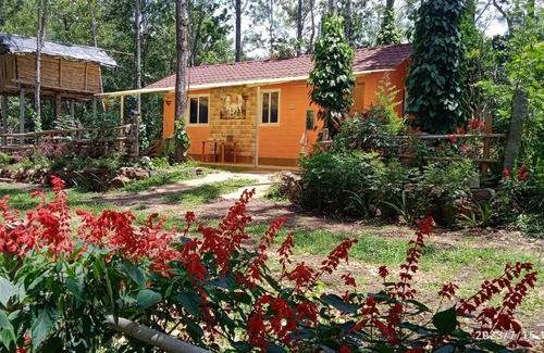 Yercaud Villa | farmer homestay yercaud