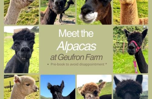 Bryn-crug House | Farmhouse - Dogs welcome - Near Tywyn
