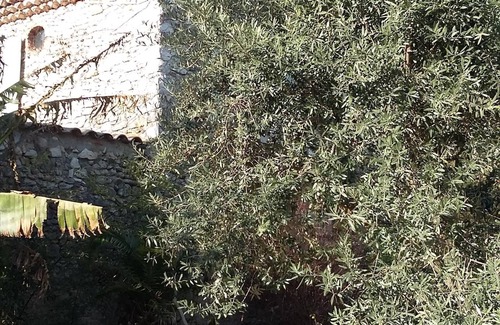 La Batie-Rolland House | Farmhouse Drôme provençale