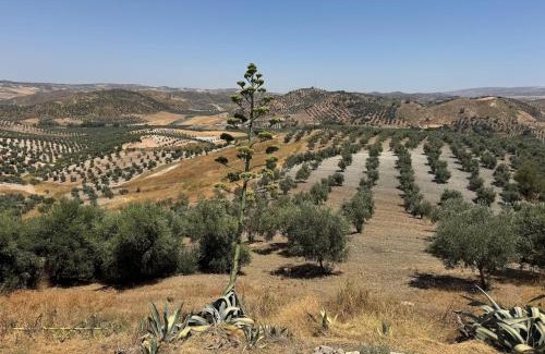 Algamitas House | Farmhouse in Andalusia with Private Pool, cleaning included