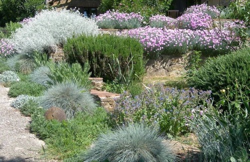 Castelnuovo di Val di Cecina Apartment | Farmhouse from 17th century with antique furniture and many flowers.