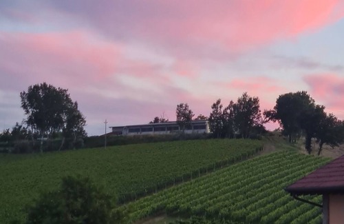 Carpeneto House | Farmhouse nestled among the vineyards and hills of Monferrato