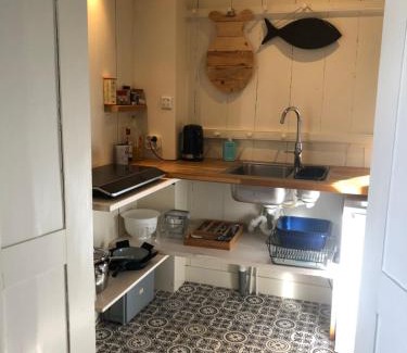 Wijnaldum House | Farmhouse Okkingastate