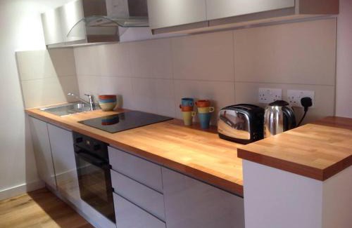 St Luke's Apartment | Farriers House