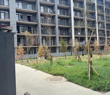 Vake-Saburtalo Apartment | Fatmanis 98