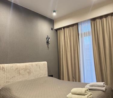 Vake-Saburtalo Apartment | Fatmanis 98