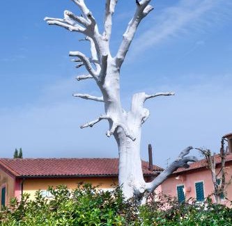 San Gervasio Bed & Breakfast | Fattoria Santa Lucia Borgo alla Cantina
