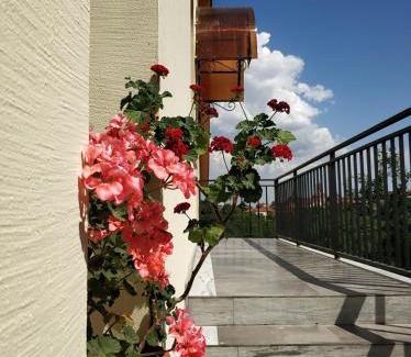 Sighnaghi House | Favourite