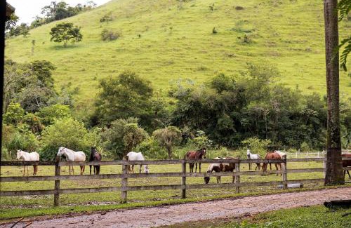 Ipiabas House | Fazenda Jurea Charme Colonial 10 suítes Ipiabas Rj - Uma fazenda centenária só pra você e sua família