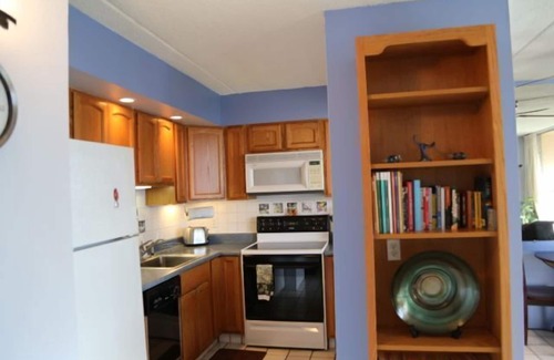 Kihei Condo | FEEL THE ALOHA! Affordable 1BR w/sofa sleeper.