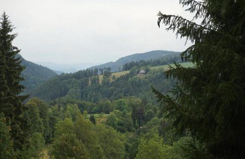 Triberg im Schwarzwald Apartment | Feißesberghof