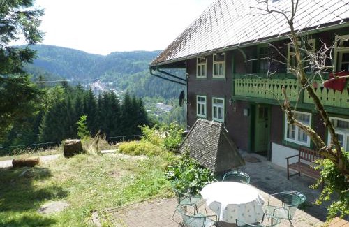 Triberg im Schwarzwald Apartment | Feißesberghof