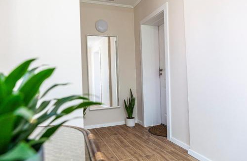 Baile Felix House | Felix 88