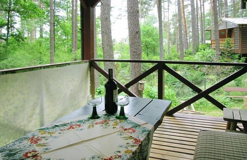 Gietrzwald House | Fenced cottage in the middle of nature, right by the lake, Rentyny