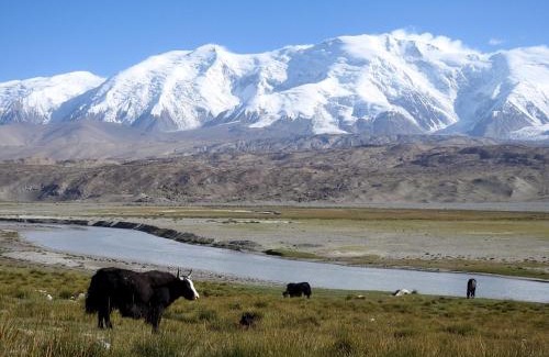 Tashkurgan House | Fengchui Banxia Manor Wild Luxury Camp