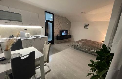 Zajecar Apartment | Fenix Apartman III