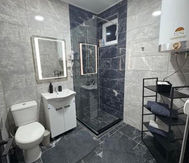 Zajecar Apartment | Fenix Apartman III