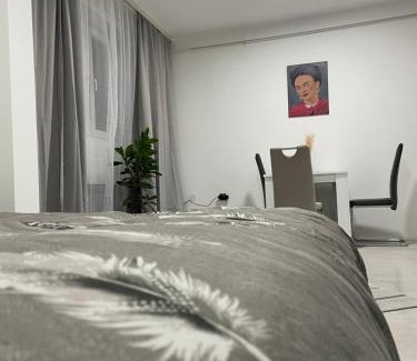 Zajecar Apartment | Fenix Apartman III