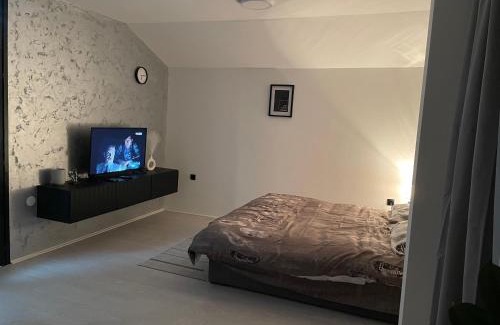 Zajecar Apartment | Fenix Apartman III