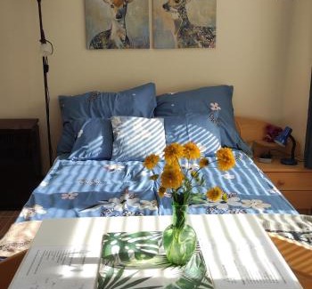 Szalkszentmarton Apartment | Fenyves-lak