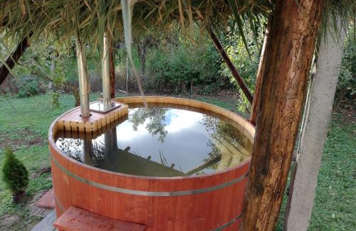 Viile Satu Mare House | Ferdinánd Guesthouse