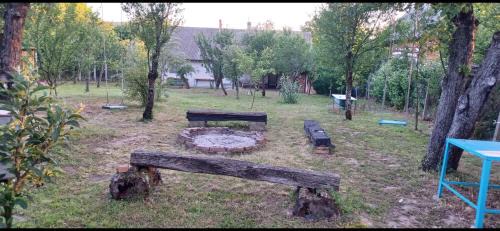 Viile Satu Mare House | Ferdinánd Guesthouse