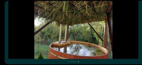Viile Satu Mare House | Ferdinánd Guesthouse