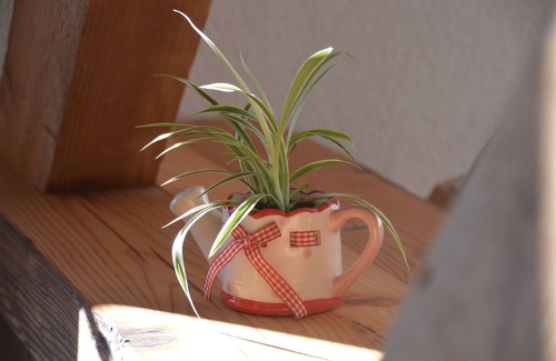 Schollach Apartment | Ferienwohnung Talblick mit 80qm, 2 Schlafzimmer, max. 4 Personen