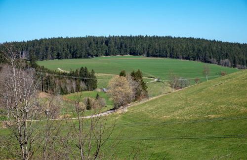 Sankt Georgen im Schwarzwald Apartment | Ferienwohnung Armbruster