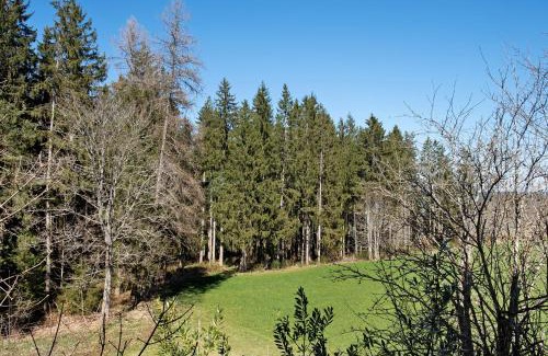 Sankt Georgen im Schwarzwald Apartment | Ferienwohnung Schartenschmiede
