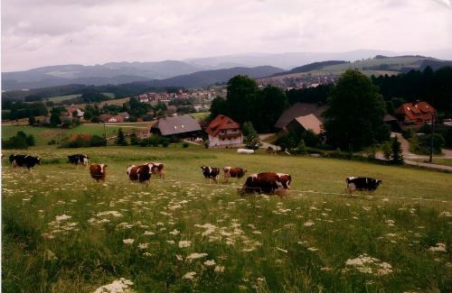 St. Peter im Schwarzwald Apartment | Ferien Auf Dem Steingrubenhof