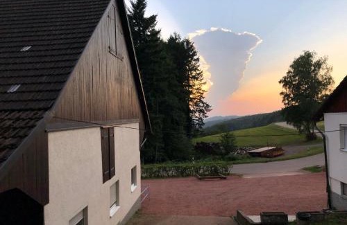 Freiamt Apartment | Ferien im Schwarzwald Ferienwohnung Freiamt