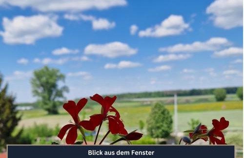 Nordwestliche Außenstadt Apartment | Ferien- und Messewohnung am Ponyhof Nürnberg