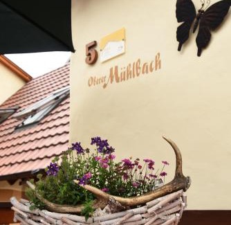 Uetzing Apartment | Ferienappartement Balik