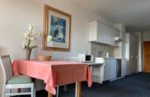 Fleckl Apartment | FerienFleckl