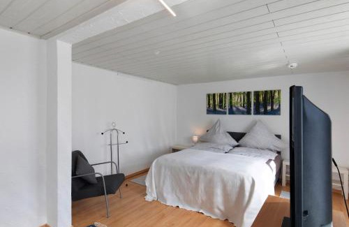 Gruendau Apartment | Ferienhaus Alte Schäferei