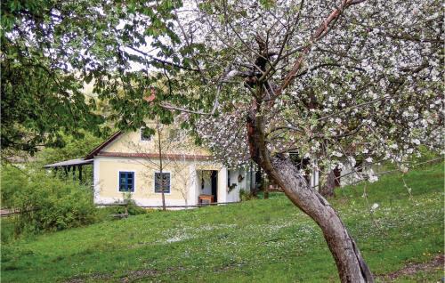 Gerersdorf bei Gussing House | Ferienhaus Gerersdorf-Güssing