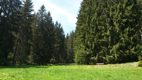 Grossbreitenbach House | Ferienhaus Bad Hundertpfund Typ C