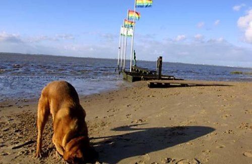 Dangastermoor House | Ferienhaus Cordes, FeWo Vermittlung Nordsee