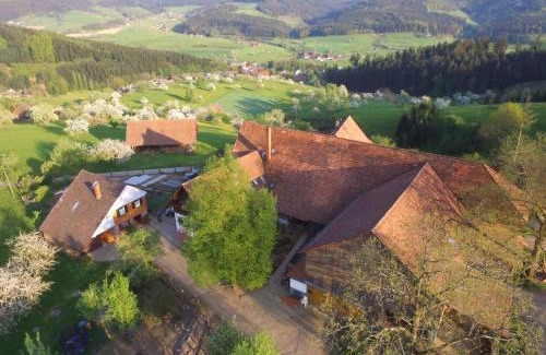 Zell am Harmersbach House | Ferienhaus Eck