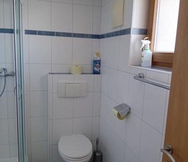 Hollersbach im Pinzgau Apartment | Ferienhaus Hochwimmer