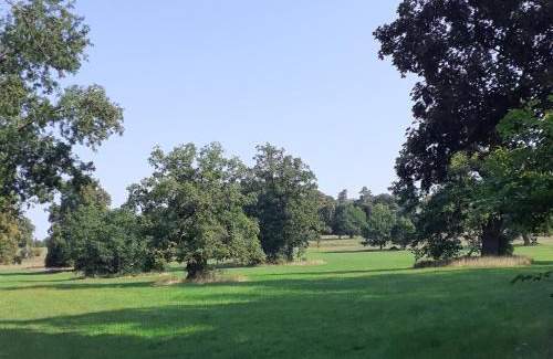 Herbstein House | Ferienhaus Hoher Vogelsberg