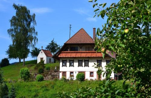 Oberharmersbach Apartment | Ferienhaus Hubhof