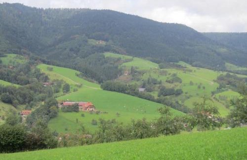 Oberharmersbach Apartment | Ferienhaus Hubhof