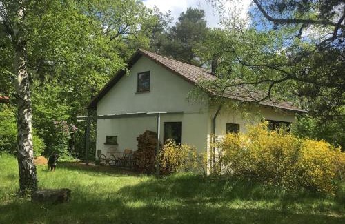 Wachenheim an der Weinstrasse Apartment | Ferienhaus im Wald an der Weinstrasse