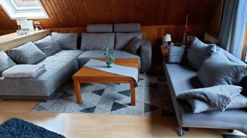 Bad Arolsen Resort | Ferienhaus Nr. 60 Im Ferienpark am Twistesee