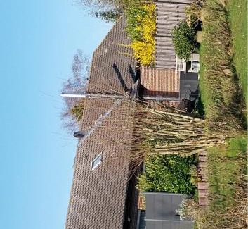 Damsum House | Ferienhaus Papa
