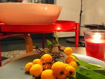 Rotha Apartment | Ferienhaus sonnenWIND am Hainer See